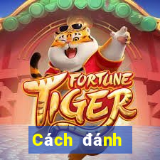 Cách đánh Baccarat cơm gạo