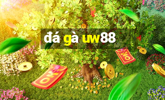 đá gà uw88