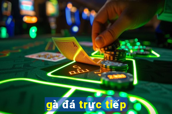 gà đá trực tiếp