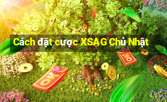 Cách đặt cược XSAG Chủ Nhật