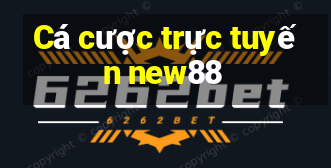 Cá cược trực tuyến new88