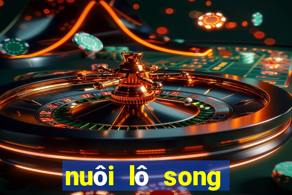 nuôi lô song thủ khung 3 ngày