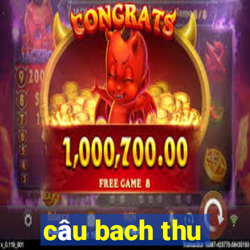 câu bach thu