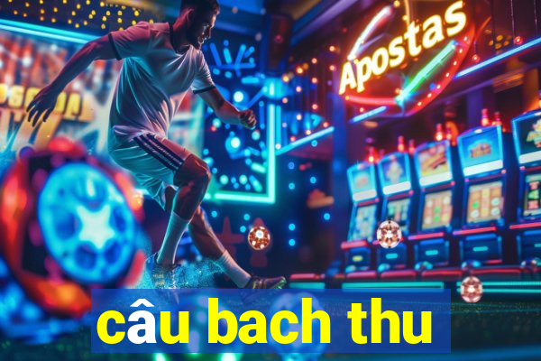 câu bach thu