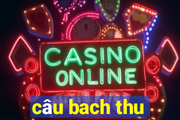 câu bach thu