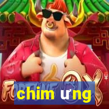 chim ưng