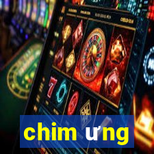 chim ưng