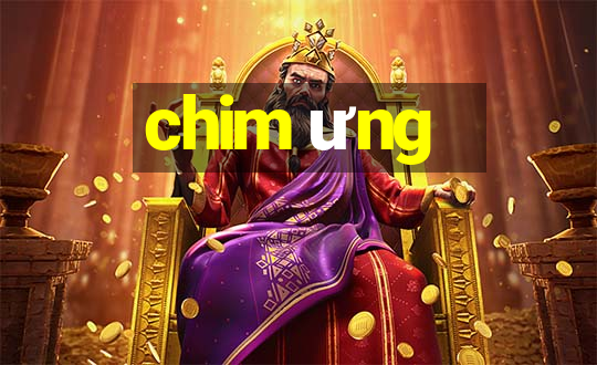 chim ưng