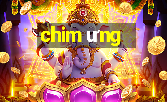 chim ưng