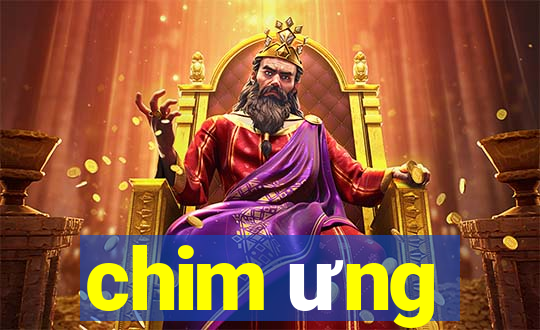 chim ưng