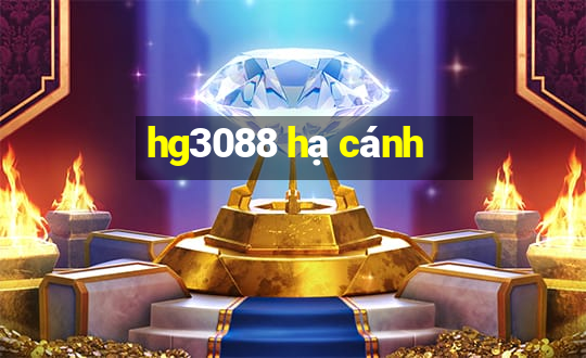 hg3088 hạ cánh