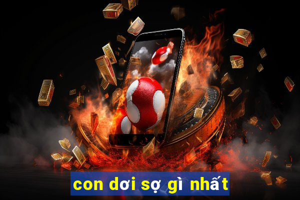 con dơi sợ gì nhất