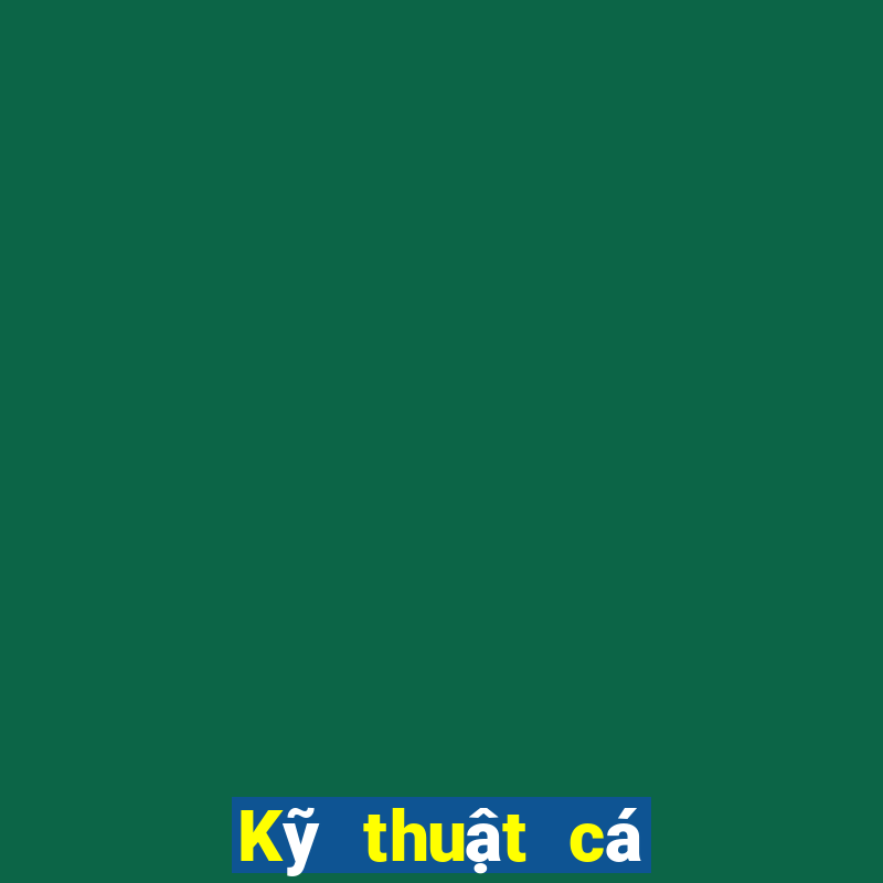 Kỹ thuật cá độ bóng đá