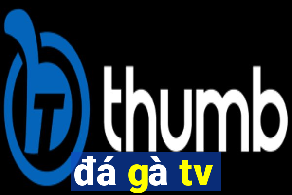 đá gà tv