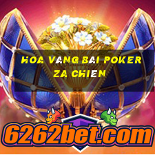 Hoa vàng bài poker Za Chiên