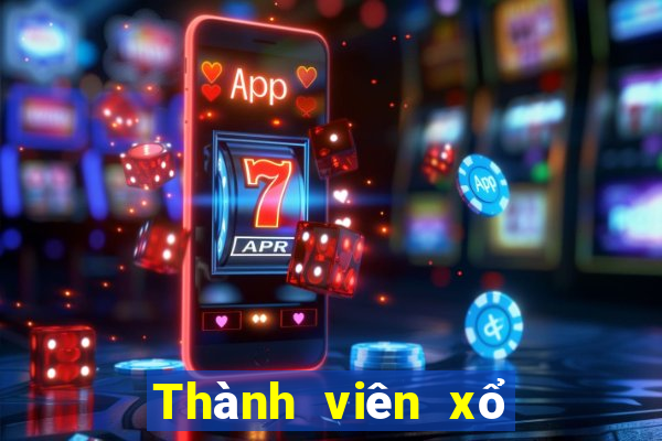 Thành viên xổ số 7 ngày