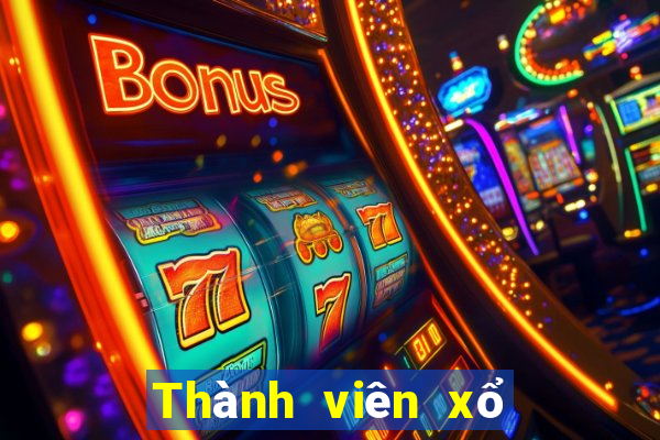 Thành viên xổ số 7 ngày