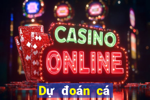 Dự đoán cá cược bóng rổ