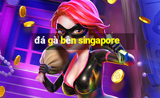 đá gà bên singapore