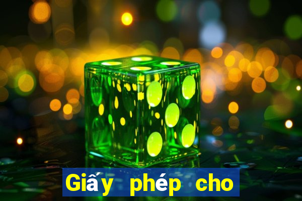 Giấy phép cho ag Subgiải trí