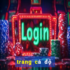 trang cá độ bóng đá dongtamlongan