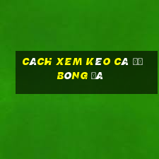 cách xem kèo cá độ bóng đá