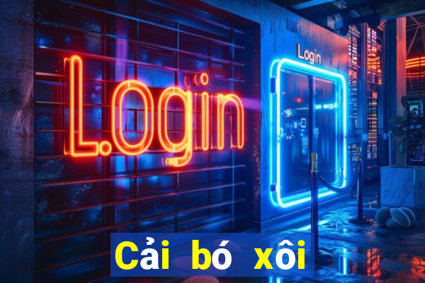 Cải bó xôi toàn phần 2020