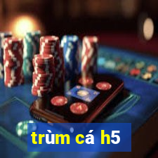 trùm cá h5