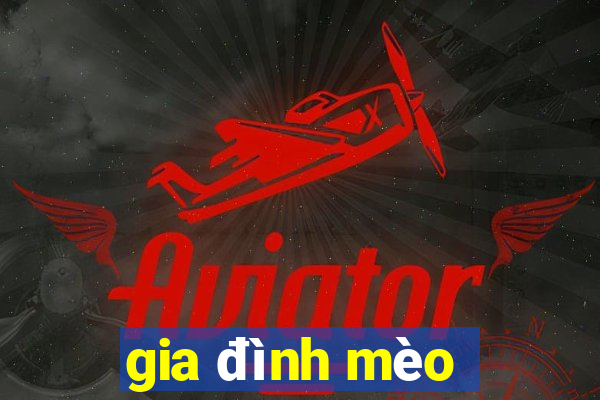 gia đình mèo