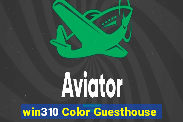 win310 Color Guesthouse