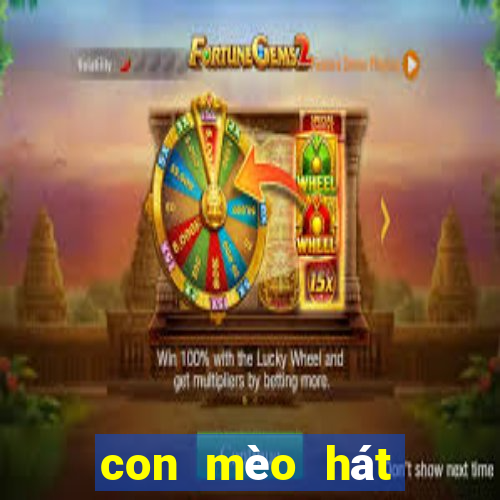 con mèo hát hạo nam