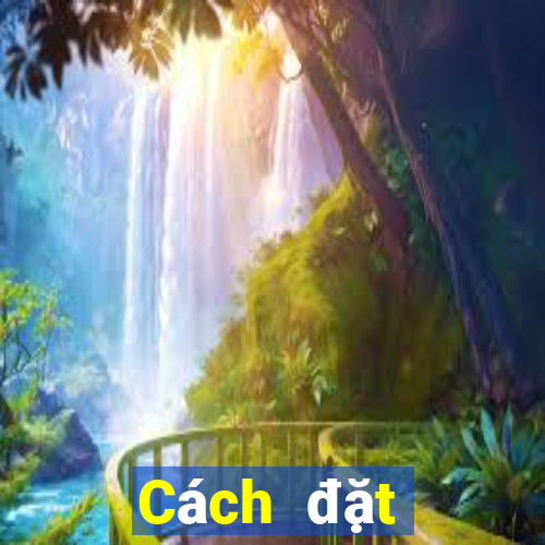 Cách đặt cược XSQNA Thứ 7