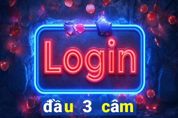 đầu 3 câm đánh lô gì