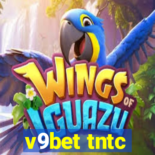 v9bet tntc