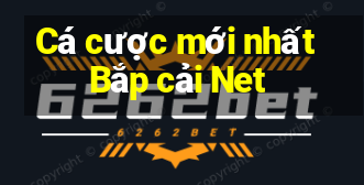 Cá cược mới nhất Bắp cải Net