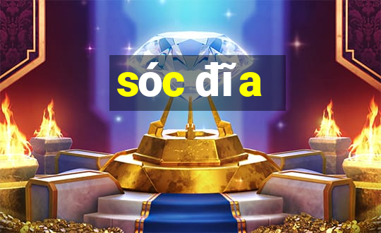 sóc đĩa