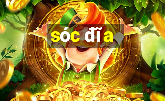 sóc đĩa