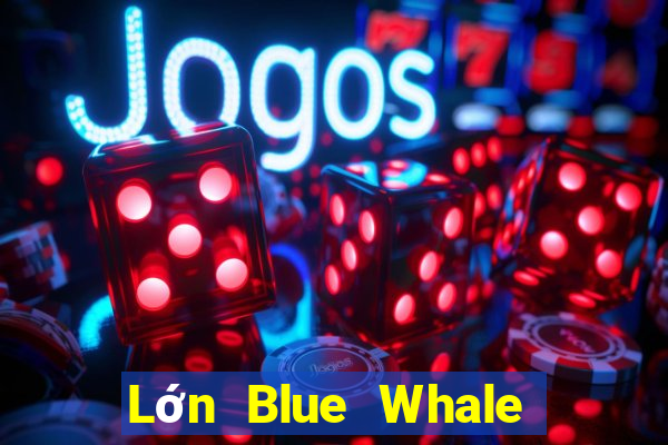 Lớn Blue Whale Giải trí