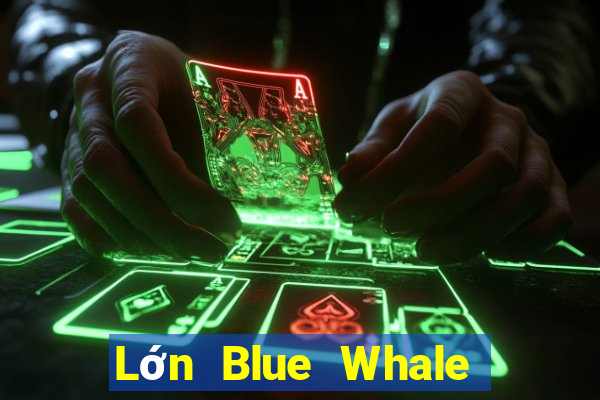 Lớn Blue Whale Giải trí