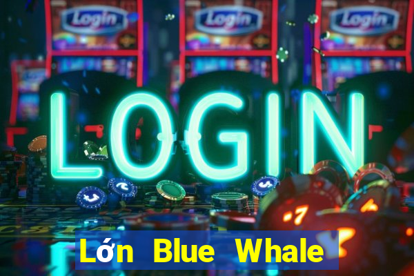 Lớn Blue Whale Giải trí