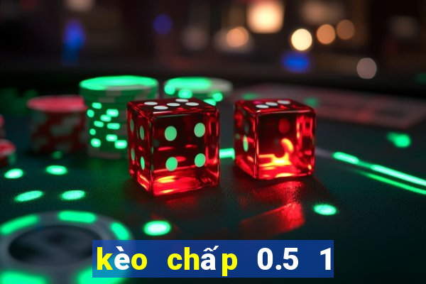 kèo chấp 0.5 1 là gì