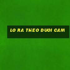 lo ra theo duoi cam