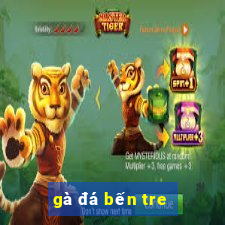 gà đá bến tre