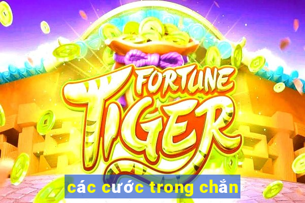 các cước trong chắn