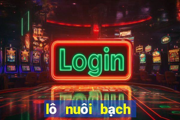 lô nuôi bạch thủ khung 3 ngày