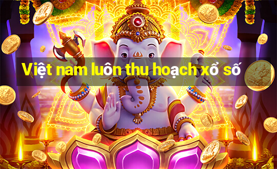 Việt nam luôn thu hoạch xổ số