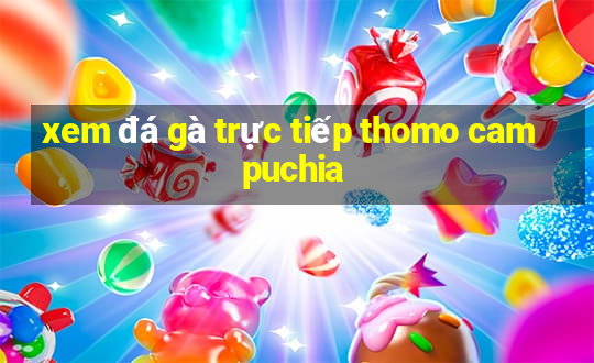 xem đá gà trực tiếp thomo campuchia