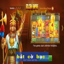 bắt cờ bạc online mới nhất