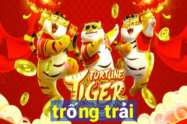 trống trải