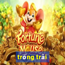 trống trải